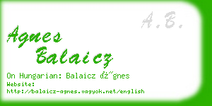 agnes balaicz business card